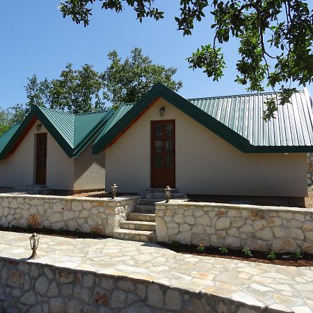 Apartmani Vinici Danilovgrad Kültér fotó